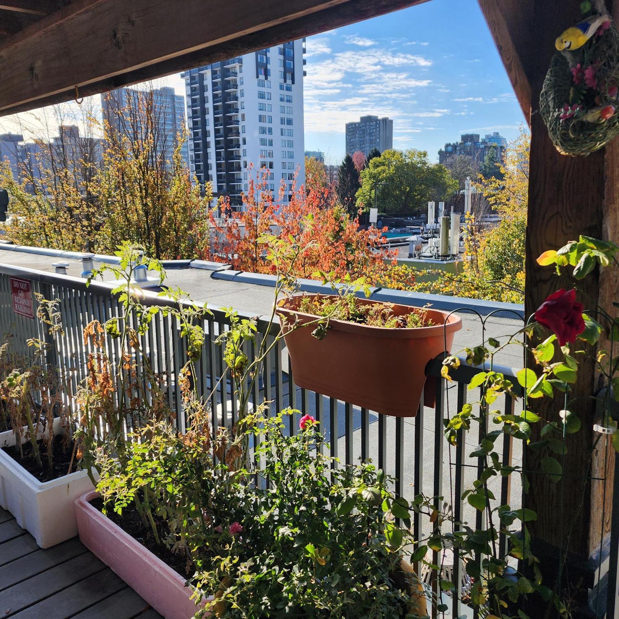 Times Square Suites Hotel Vancouver Exteriör bild